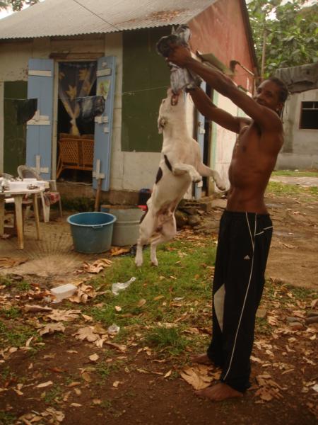 santobi d&eacute;ter !!!!